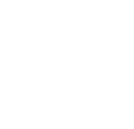 LOGO-BLOISI-200-1